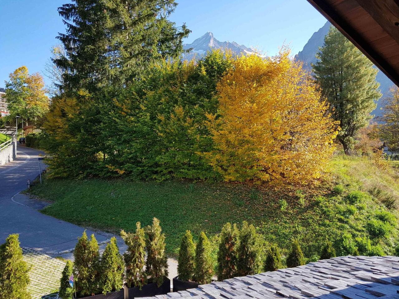 Appartement Guggerzyt à Grindelwald Extérieur photo